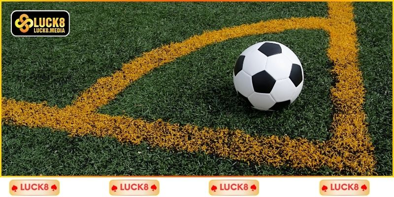 Để ý và theo dõi chiến thuật của hai đội khi thi đấu